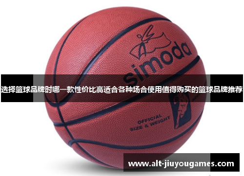 选择篮球品牌时哪一款性价比高适合各种场合使用值得购买的篮球品牌推荐