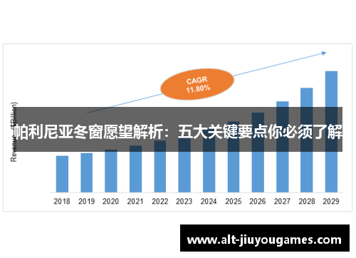 帕利尼亚冬窗愿望解析：五大关键要点你必须了解