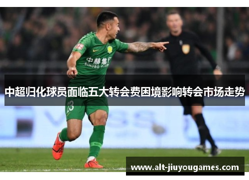 中超归化球员面临五大转会费困境影响转会市场走势